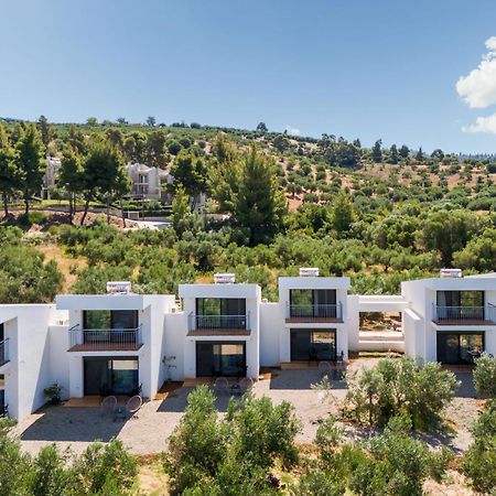 Olea Villas By Halu!, Cozy Villa In Nikiti Lagomandra Zewnętrze zdjęcie