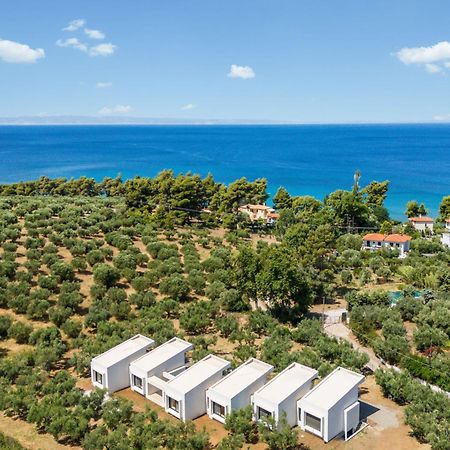 Olea Villas By Halu!, Cozy Villa In Nikiti Lagomandra Zewnętrze zdjęcie