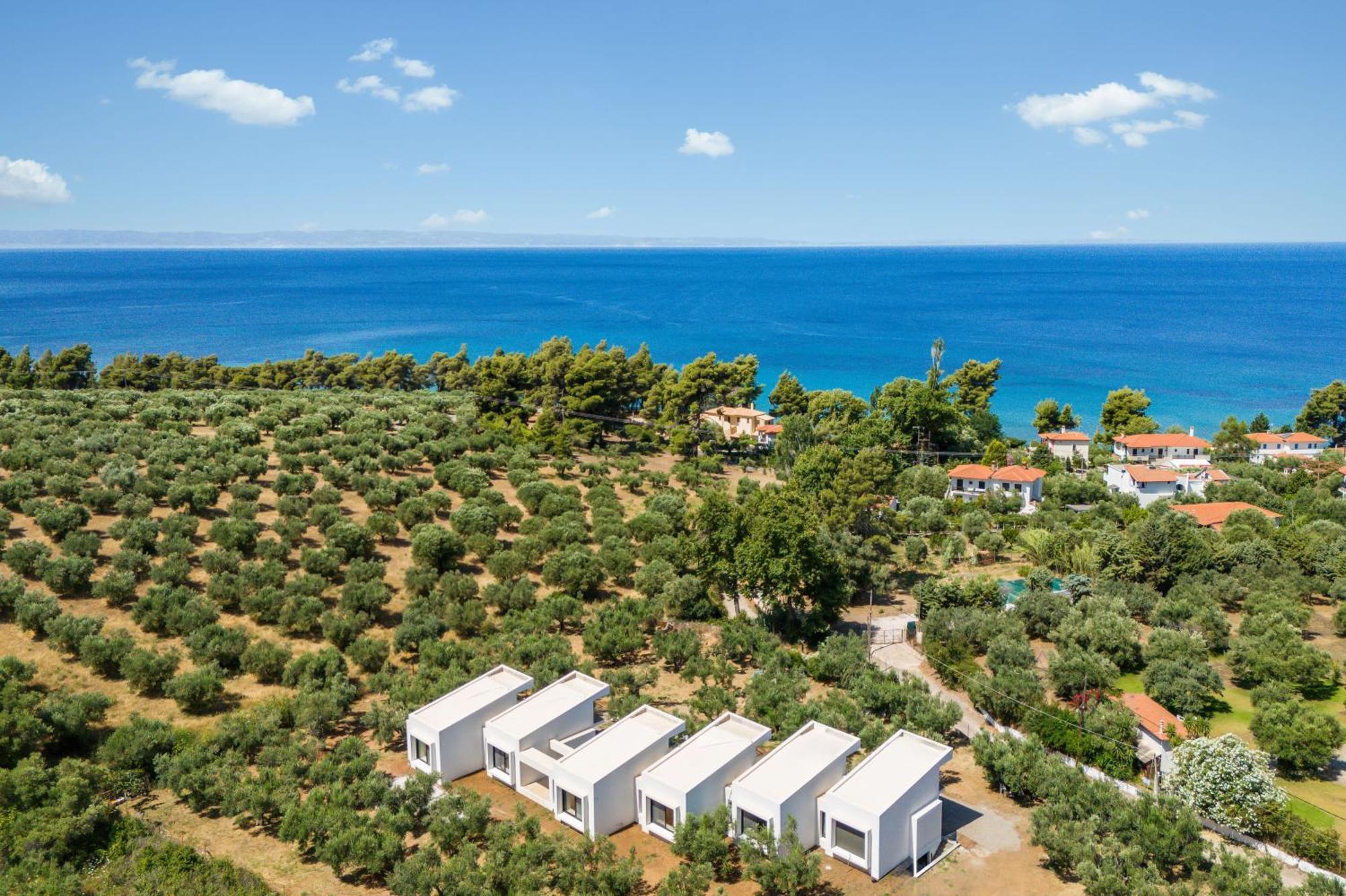Olea Villas By Halu!, Cozy Villa In Nikiti Lagomandra Zewnętrze zdjęcie