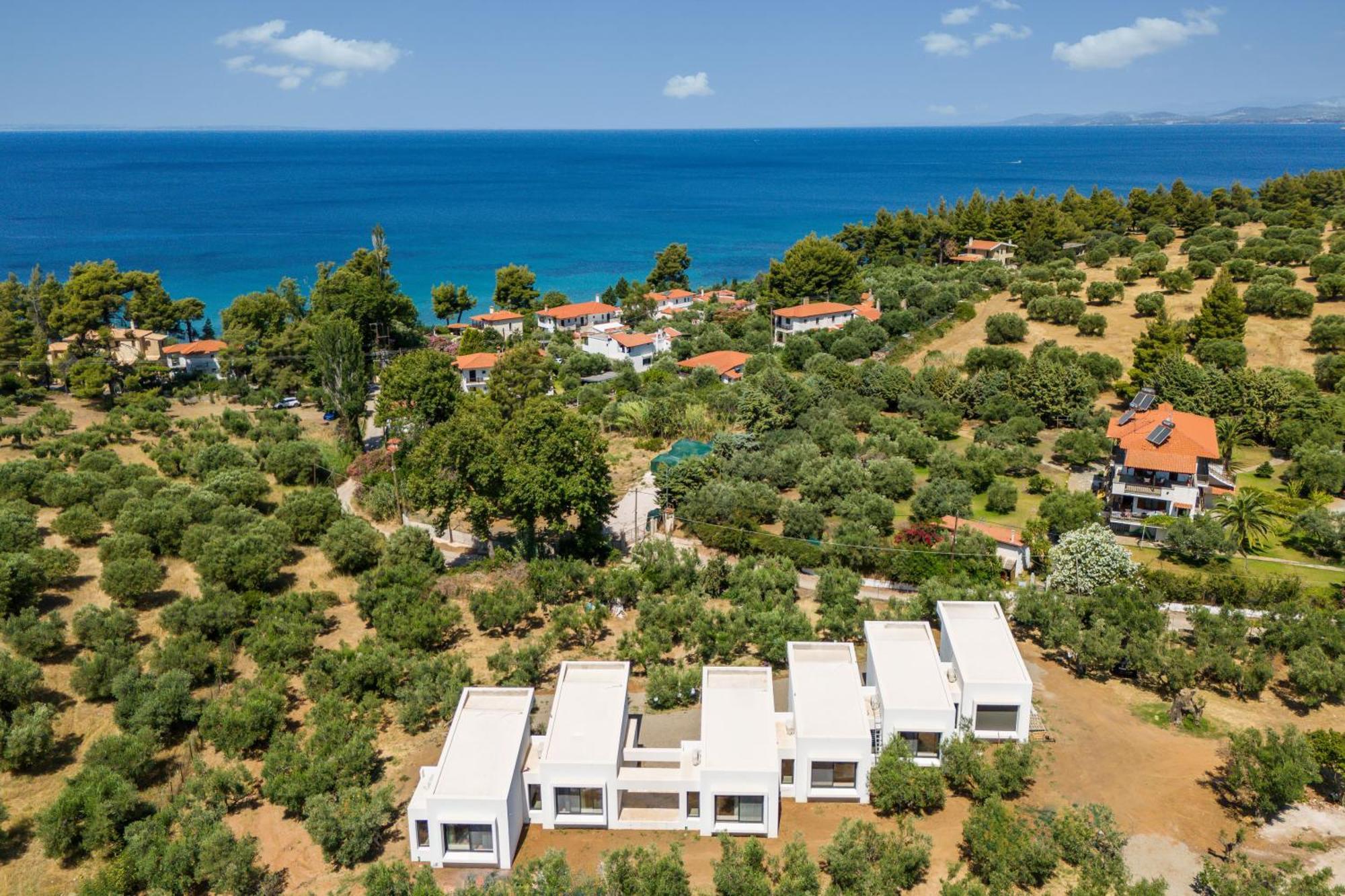 Olea Villas By Halu!, Cozy Villa In Nikiti Lagomandra Zewnętrze zdjęcie