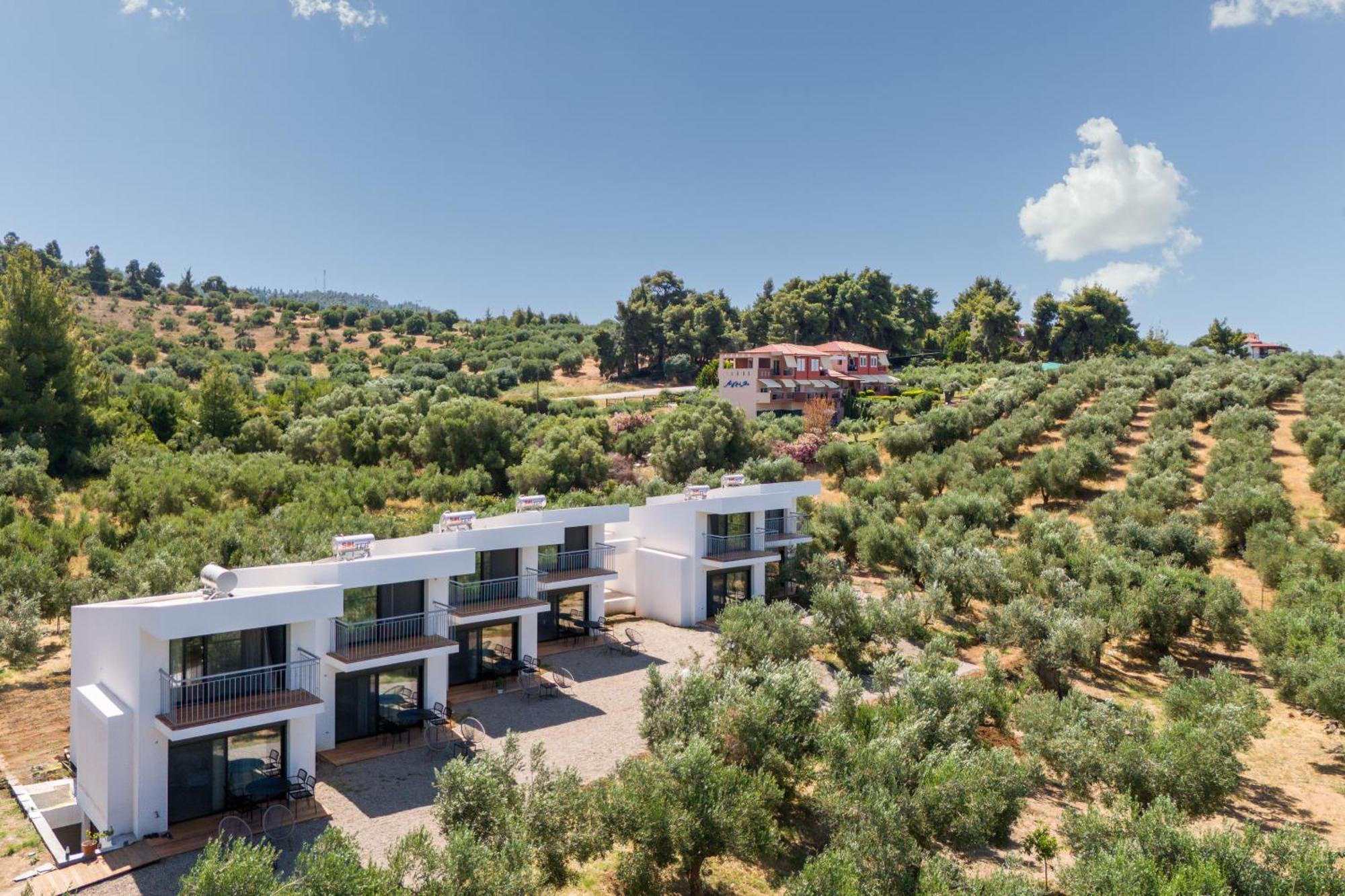 Olea Villas By Halu!, Cozy Villa In Nikiti Lagomandra Zewnętrze zdjęcie