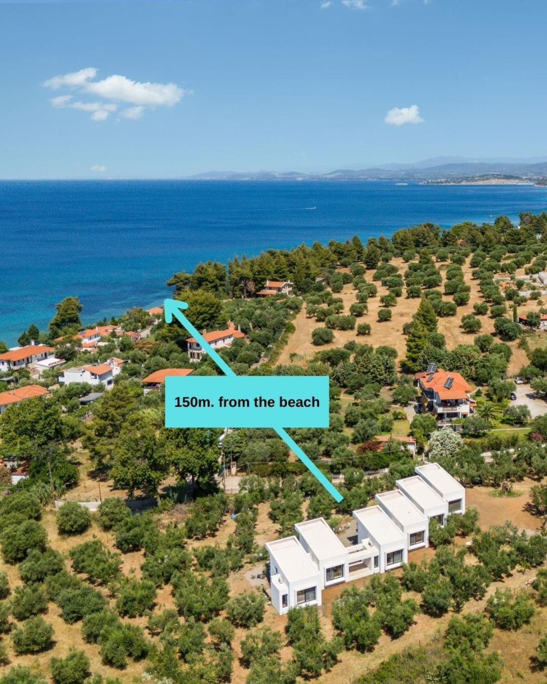 Olea Villas By Halu!, Cozy Villa In Nikiti Lagomandra Zewnętrze zdjęcie